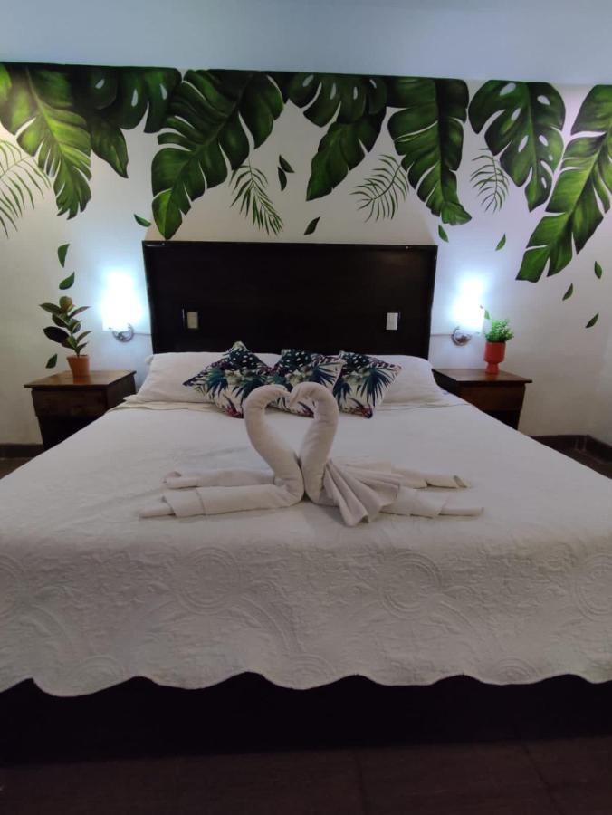 Hotel Cafenaranja Xilitla Bagian luar foto